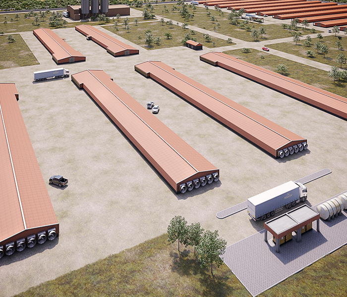 Fazenda Betuabo